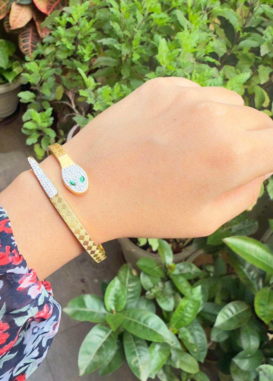 Emerald eye snake Kada